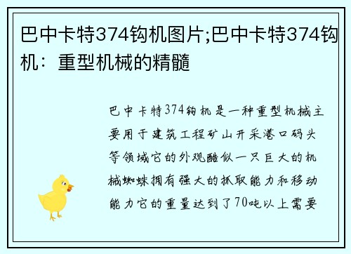 巴中卡特374钩机图片;巴中卡特374钩机：重型机械的精髓